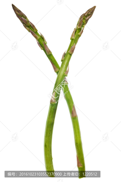 蘆筍分離