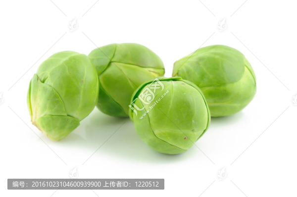 布魯塞爾綠芽