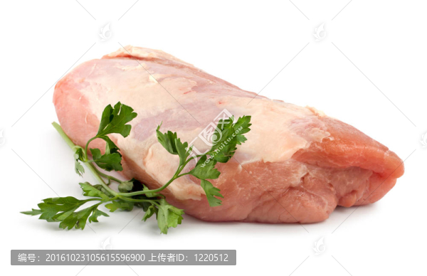 生豬肉中分離