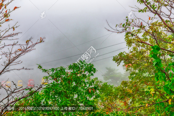 索道,雨霧中索道