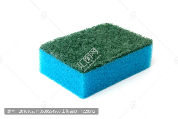 海綿