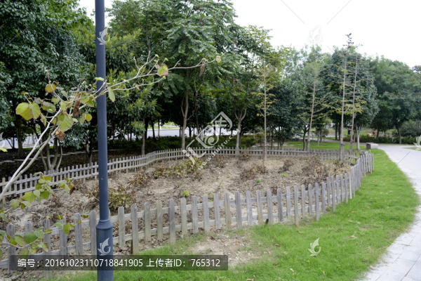 江南大學,院子