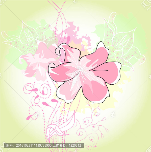 背景與Lily,flowers