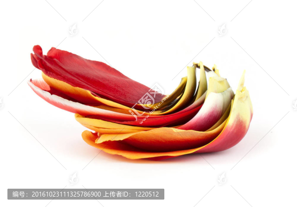 堆花瓣