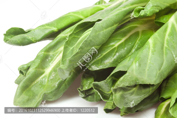 甜菜