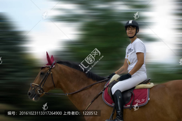 淘金的馬