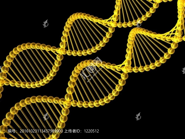 基因在DNA