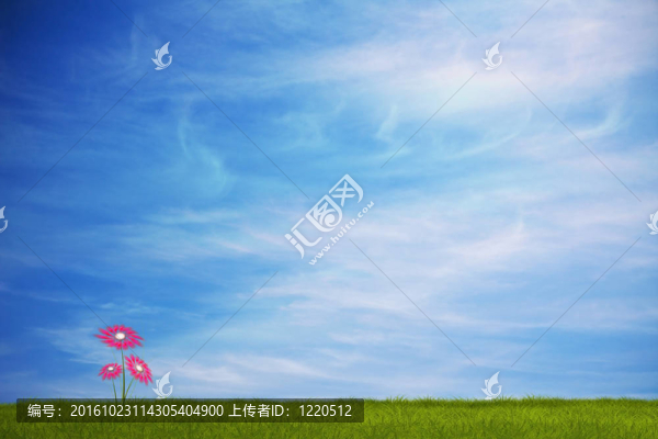 紅色的花