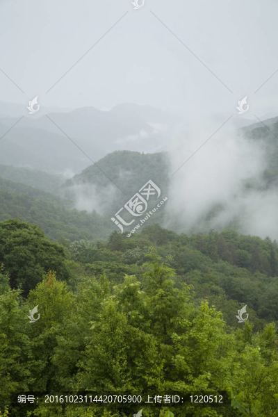 大煙山的NAT。tn-nc公園；