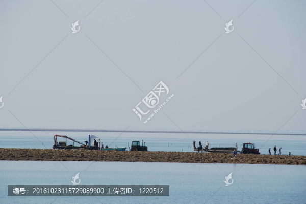 牡蠣養(yǎng)殖場