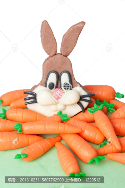 杏仁兔和carrot