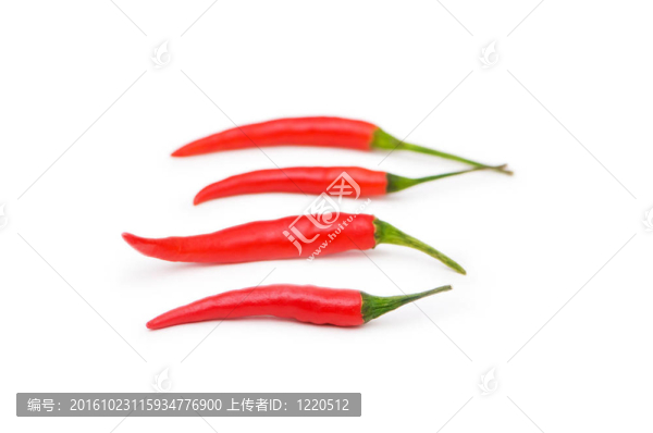 紅辣椒在白色上分離