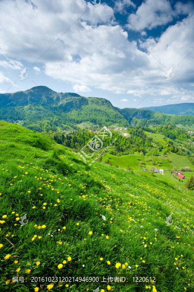 高山景觀