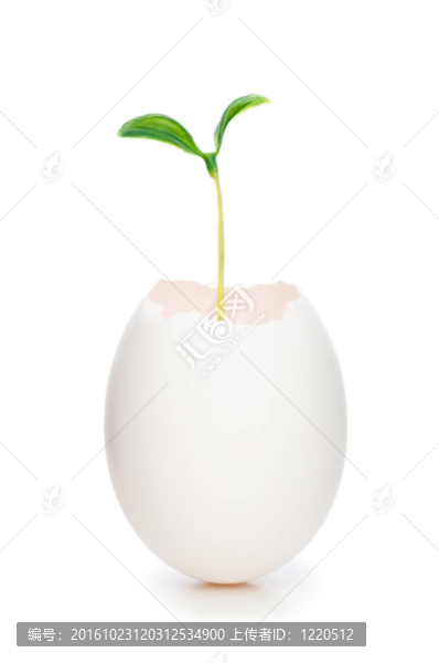 白苗白蛋新生活觀