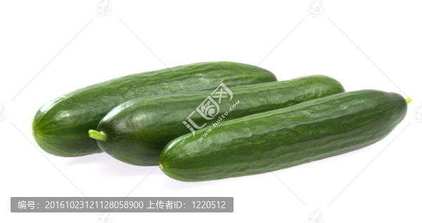 新鮮黃瓜