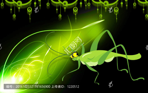 一只蚱蜢