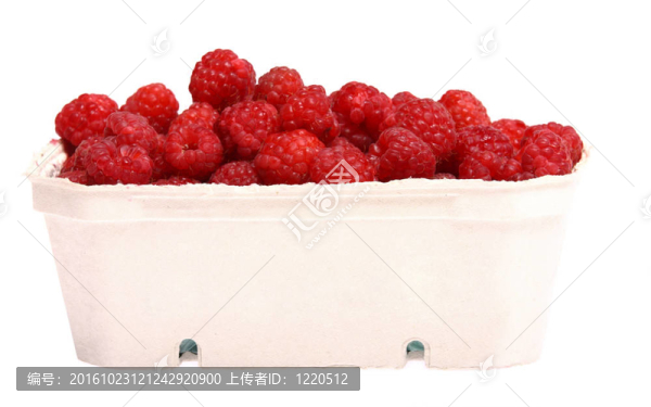 新鮮的覆盆子隔離