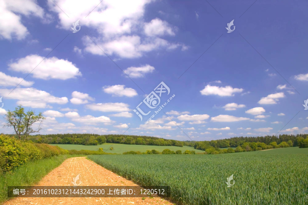 田邊的景觀