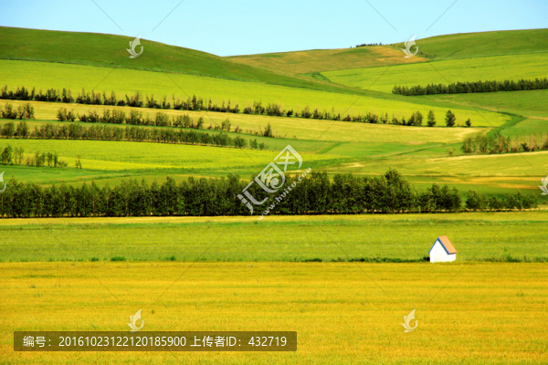 秋季的田野麥田