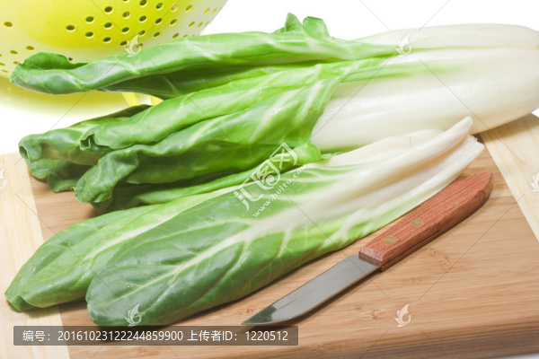 銀甜菜