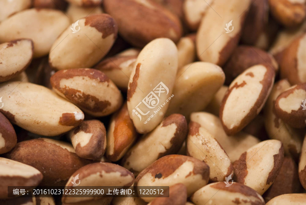 杏樹(shù)