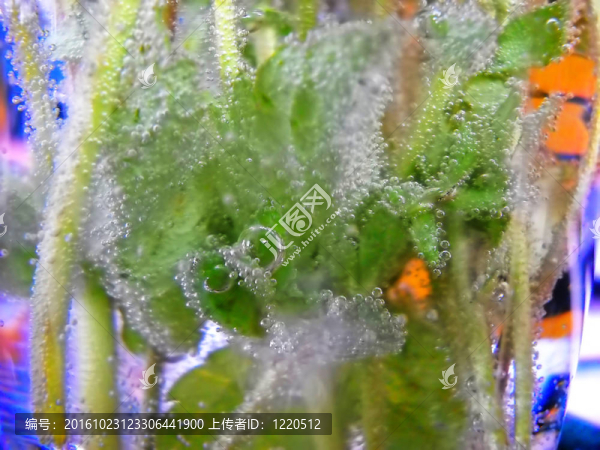摘要自然背景
