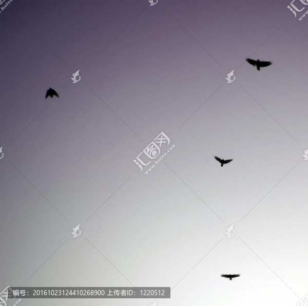 掠奪