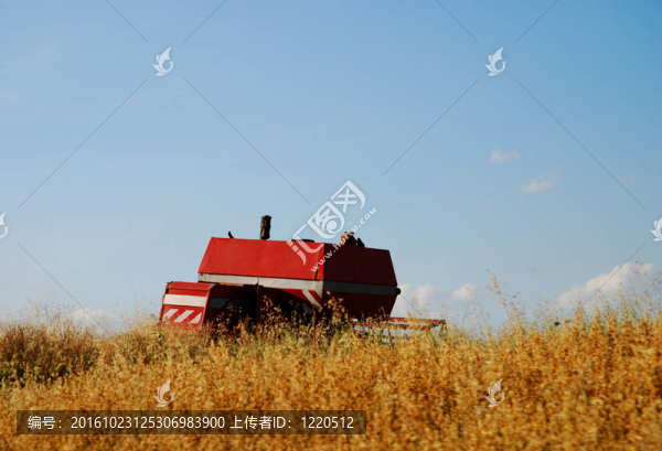 紅色谷物收割機(jī)聯(lián)合收割機(jī)