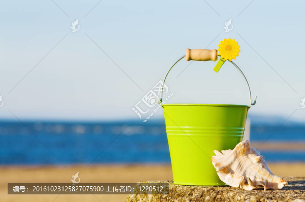 美麗海灘的夏日樂趣。