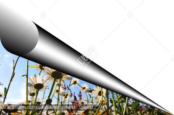 鮮花和分隔開(kāi)的