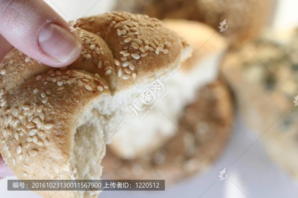 烤面包的種類