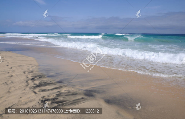 在加那利群島的富埃特文圖拉島島的海灘；西班牙