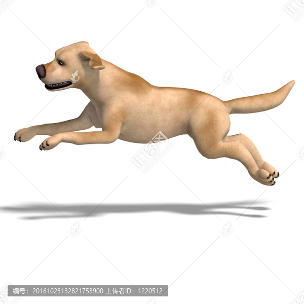 非常有趣的卡通狗有點(diǎn)堅(jiān)果。3D渲染與剪輯路徑和陰影超過白色
