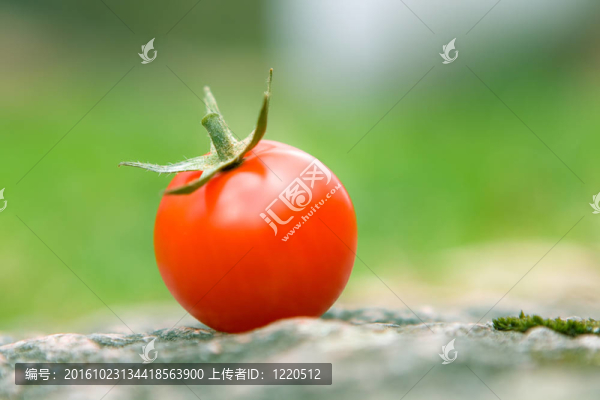 一個西紅柿
