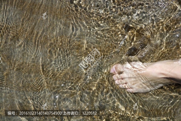海灘徒步在岸邊淺水上行走