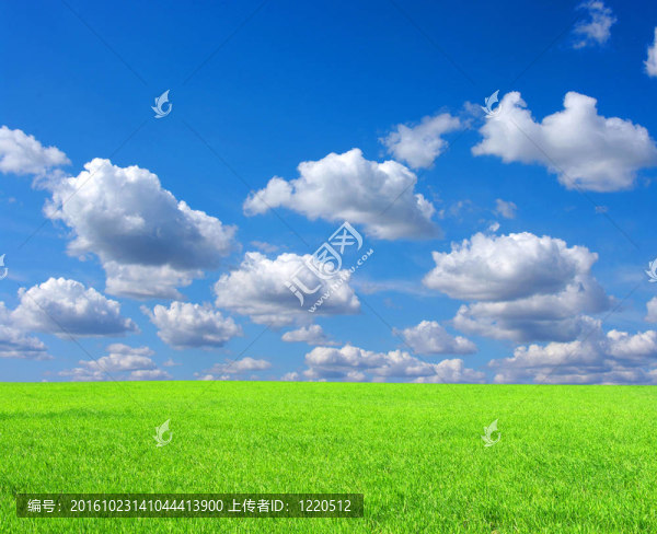 草地