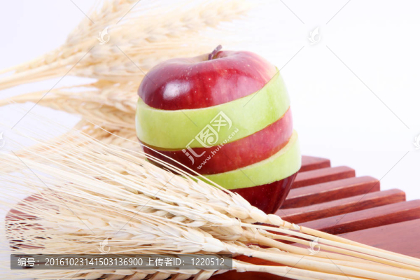 營(yíng)養(yǎng)