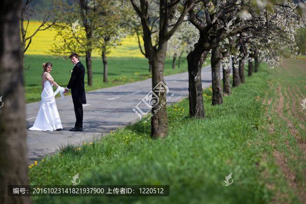 年輕的新婚夫婦-新婚新郎和新娘在一個可愛的春日戶外