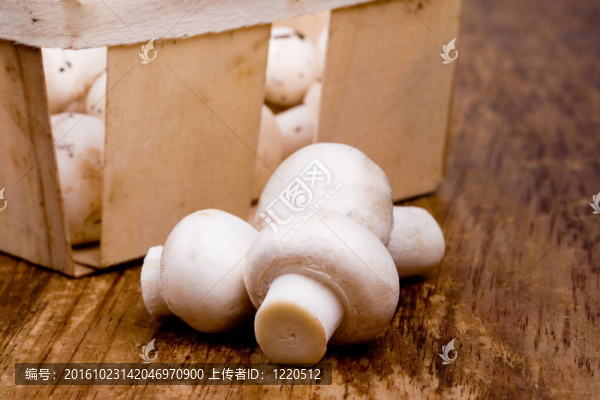 鮮香菇