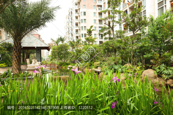 中央花園