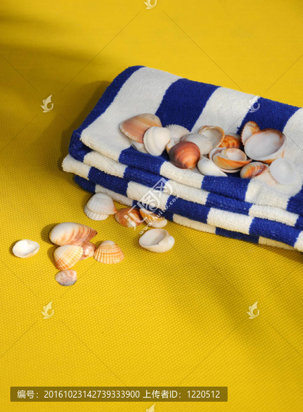 在彩色毛巾的貝殼