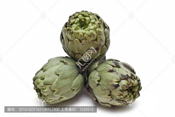洋薊.