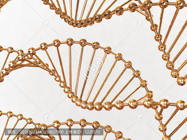 基因在DNA