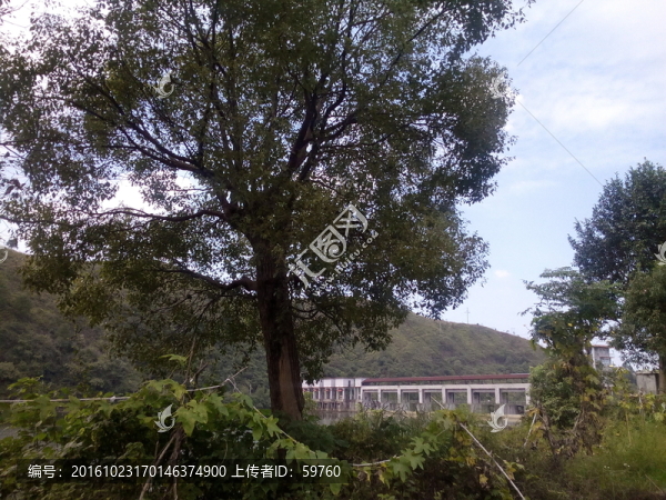 風(fēng)景