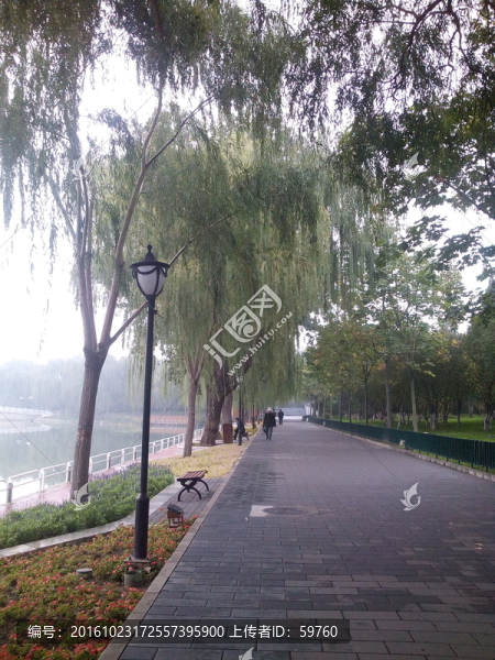 公園小道