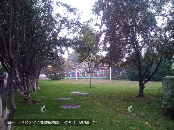 公園草坪綠樹