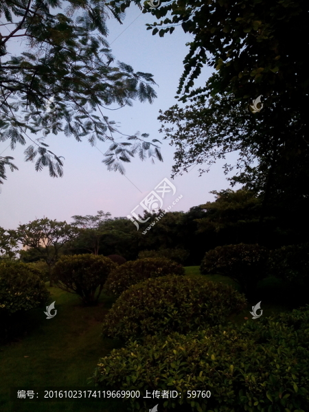 綠化景觀