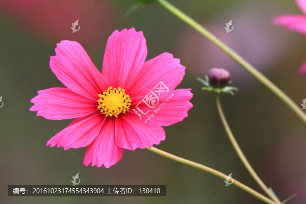 格?；? title=