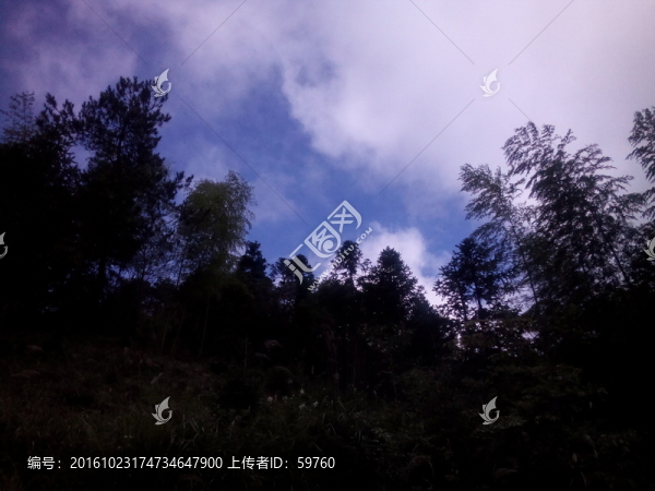 竹林藍(lán)天