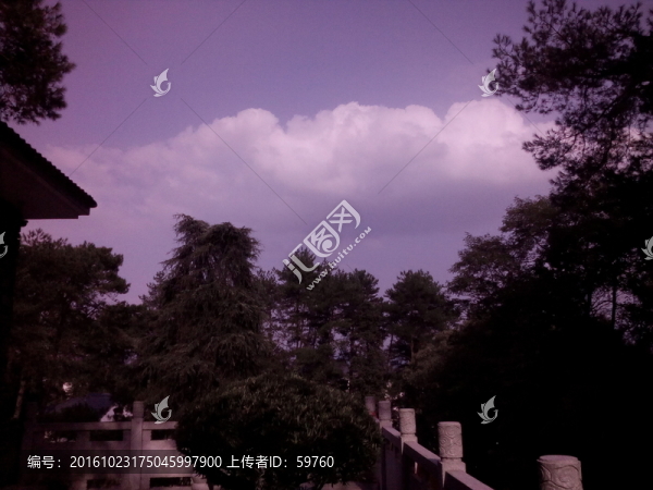天空樹影